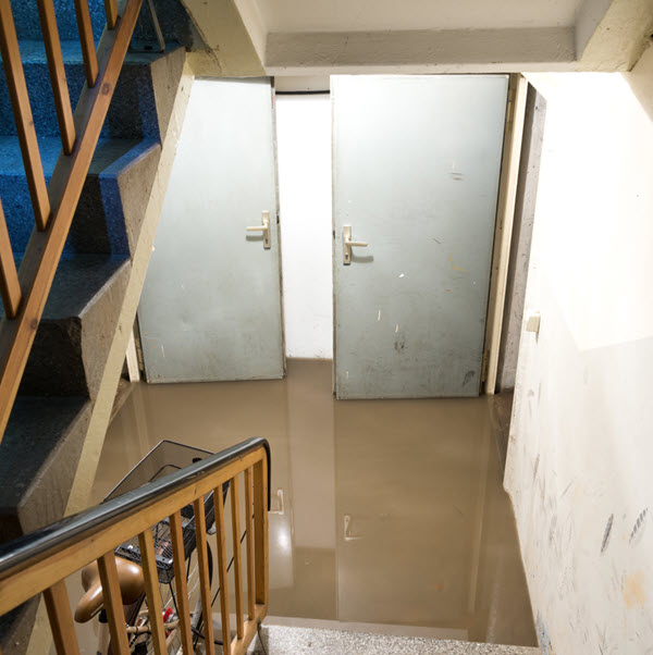 Flood Insurance