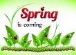 Spring into Safety 10 Essential Tips to Prep Your Home for the Season