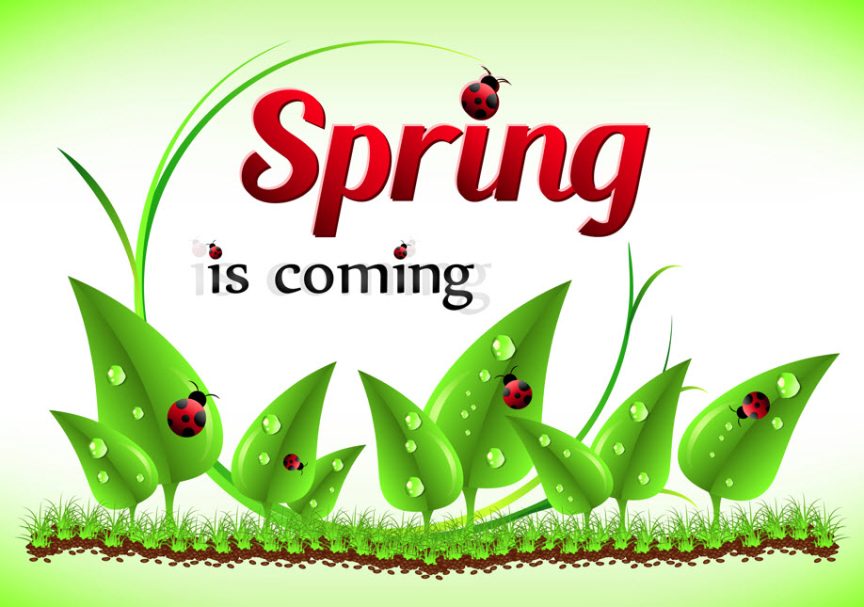Spring into Safety 10 Essential Tips to Prep Your Home for the Season