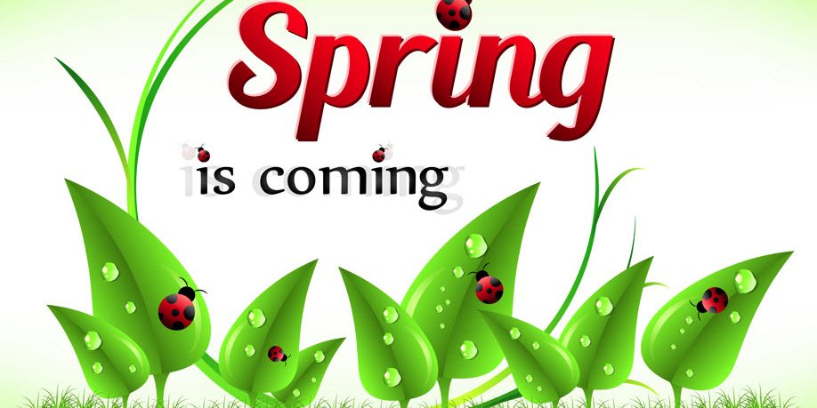 Spring into Safety 10 Essential Tips to Prep Your Home for the Season