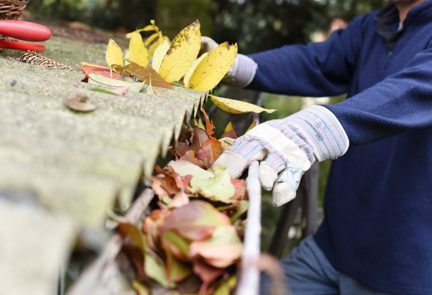 Welcome Spring with These Essential Home Maintenance Tips