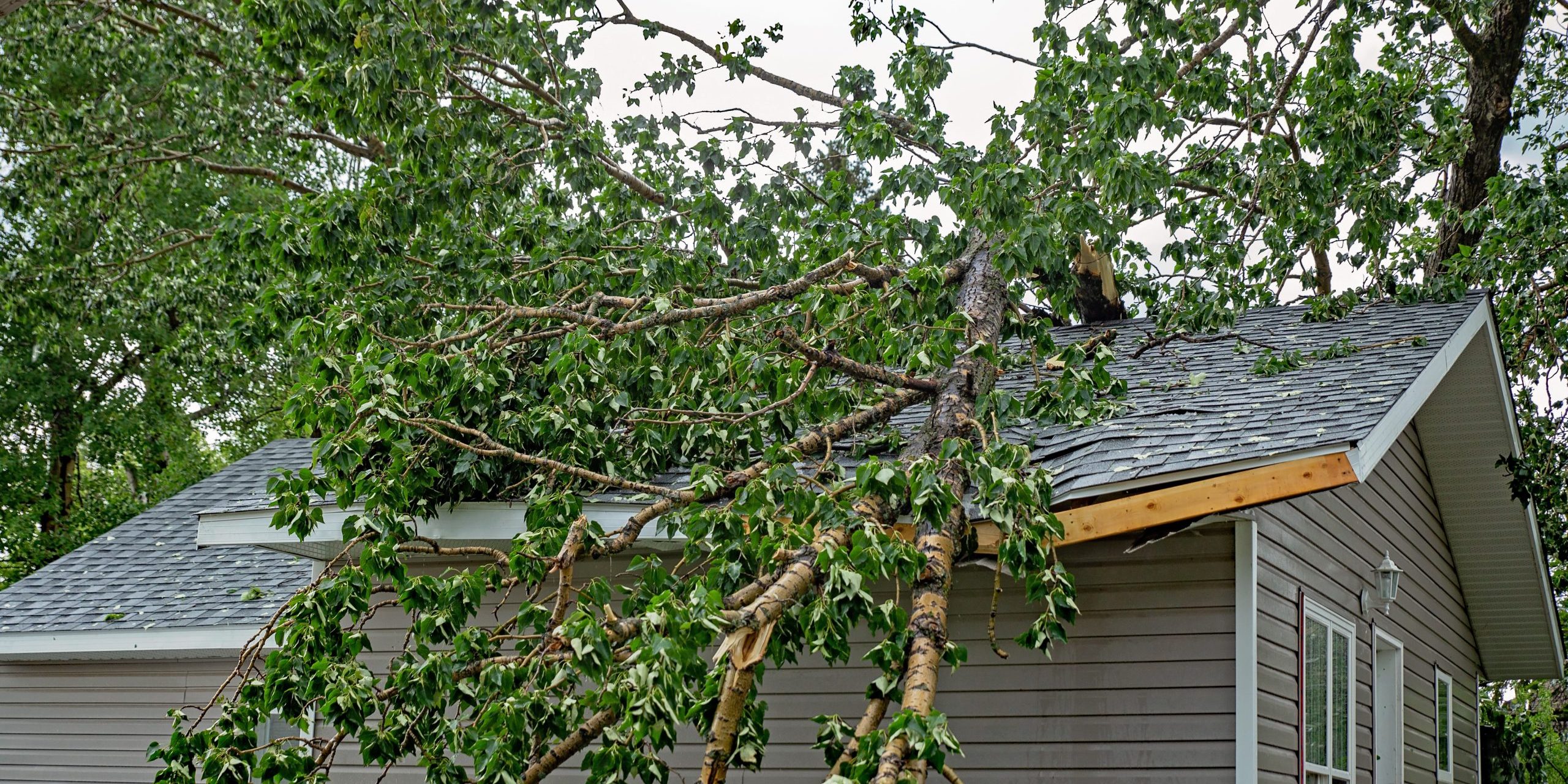 finding a contractor